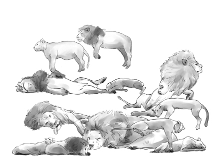 Lions Dolittle.jpg Lions Dolittle.jpg